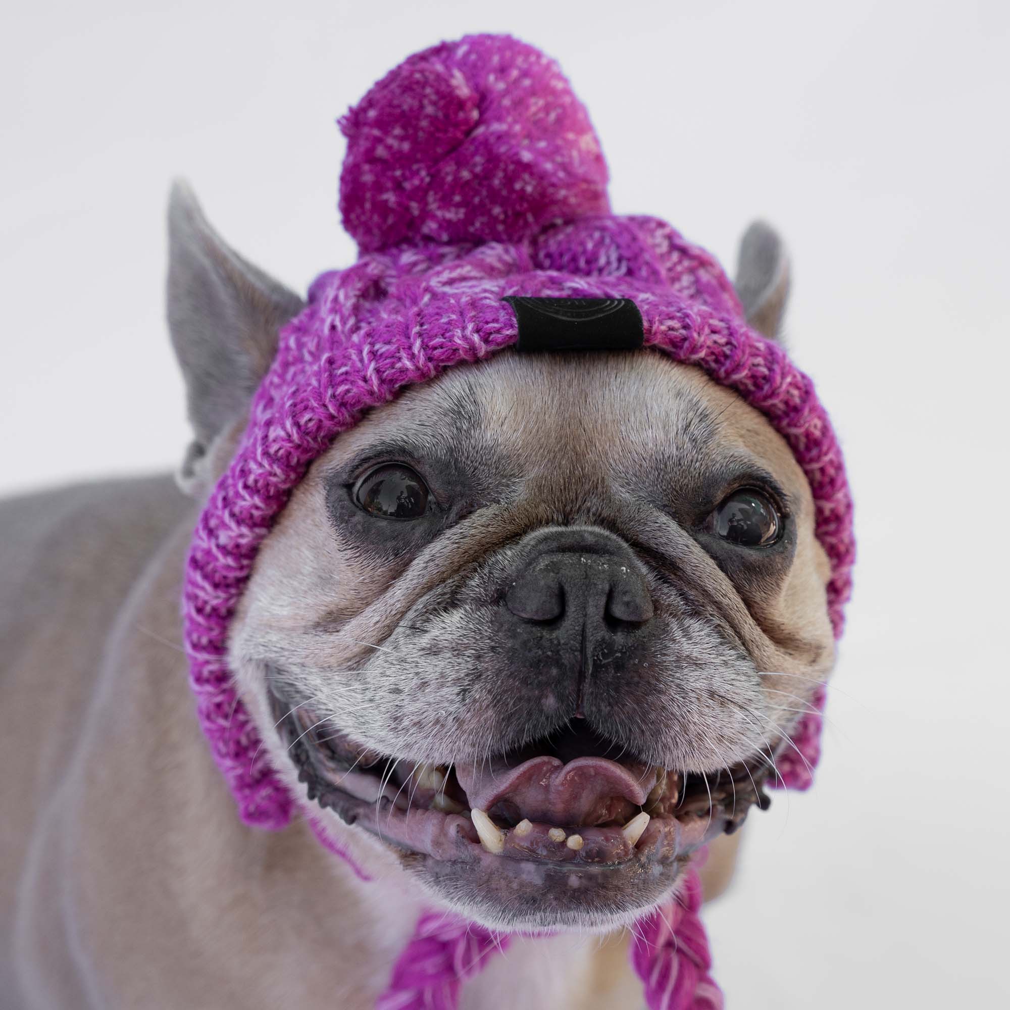 Cappellino per cane in lana con pon pon - Mabel Dog