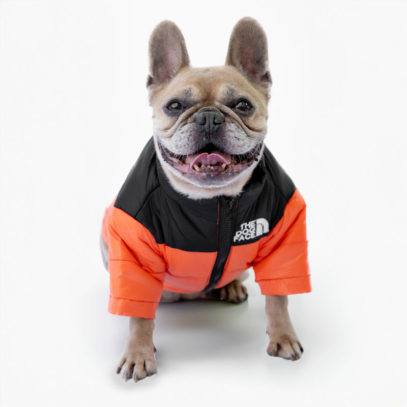 Orangefarbene Daunenjacke „The Dog Face“, personalisierbar mit Namen